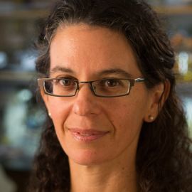 Dianne Newman Headshot