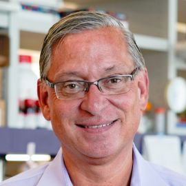 Dr. Steve Perrin Headshot