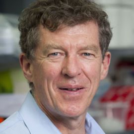 Ian Frazer Headshot