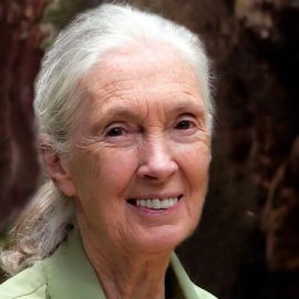 Dr. Jane Goodall Speaker Agent